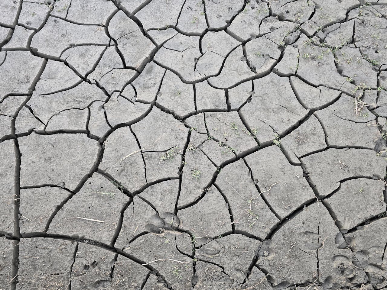 A detailed view of cracked, dry earth illustrating drought and climate change effects.